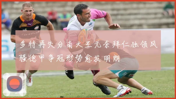 多特再失分南大王无奈拜仁独领风骚德甲争冠形势愈发明朗