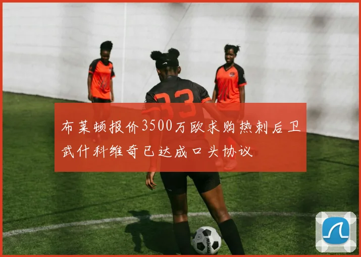 布莱顿报价3500万欧求购热刺后卫武什科维奇已达成口头协议